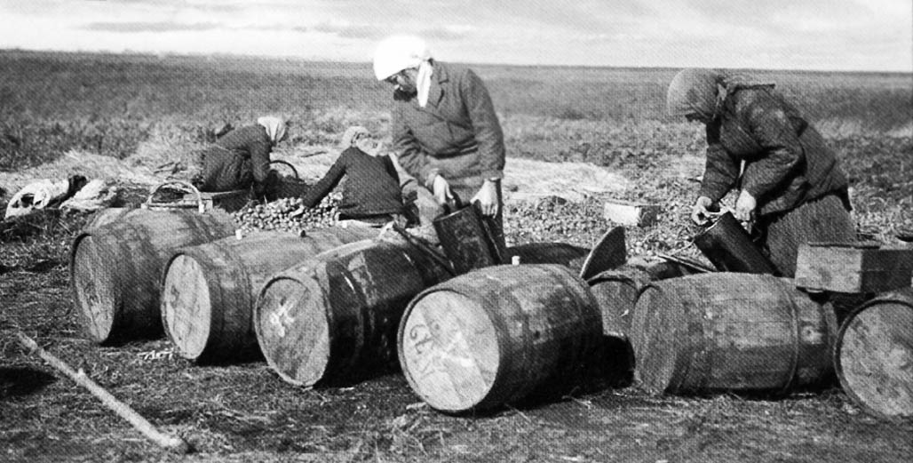 Консервування